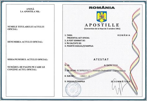 Comparație între Apostila de la Haga și recunoașterea automată a documentelor în UE