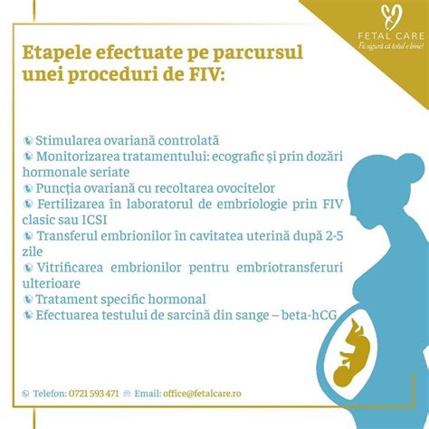 infografic explicativ cu etapele FIV