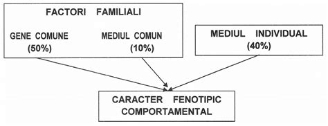 Diagramă a factorilor genetici și de mediu care contribuie la despicăturile orofaciale