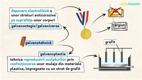 schemă proces fătare la scroafă