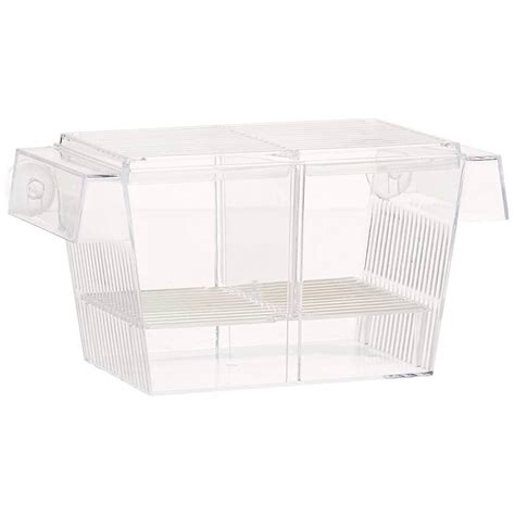 Ilustrație a unui acvariu maternitate, arătând cum puii cad în compartimentul inferior.