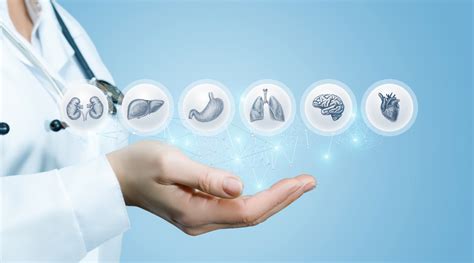 infografic cu diverse specialități medicale