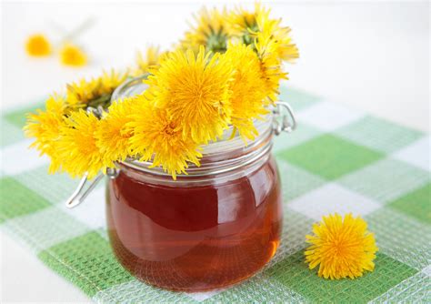 flori de păpădie și un borcan cu sirop de păpădie de culoare ambră