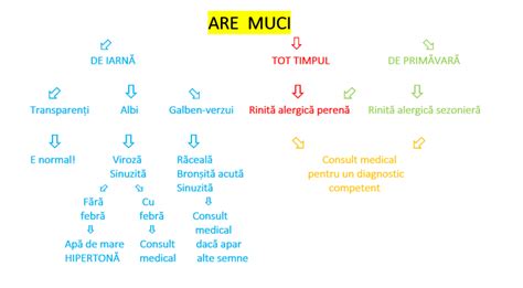Diagramă cu ductele mamare și posibilele cauze ale secrețiilor