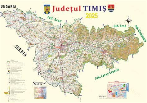 Hartă a județului Timiș, evidențiind locațiile menționate pentru cabinetul Dr. Luca Rodica