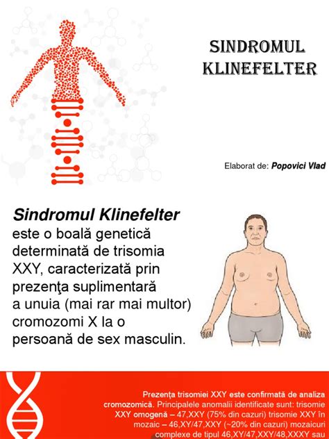 Reprezentare grafică a anomaliilor cromozomiale frecvente în infertilitatea masculină (ex. Sindromul Klinefelter)