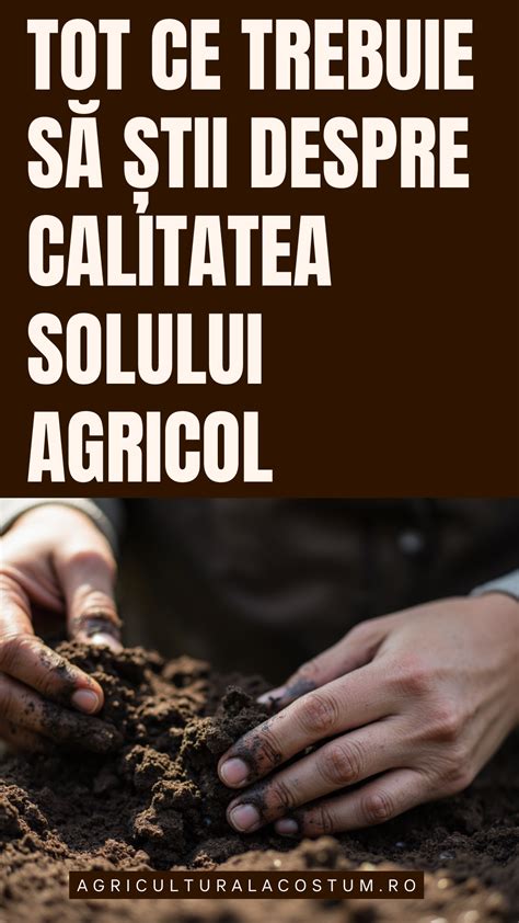 infografic explicativ despre pașii testării solului