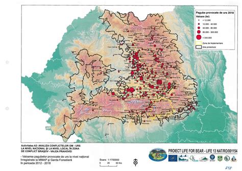 infografic cu harta zonelor afectate de febra tifoidă la nivel mondial