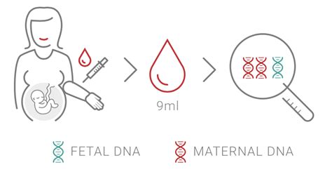 Infografic comparativ al metodelor de testare prenatală a paternității (invazive și non-invazive).