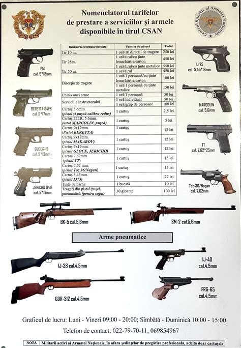 Ilustrație cu un poligon de tir și indicatoare de siguranță