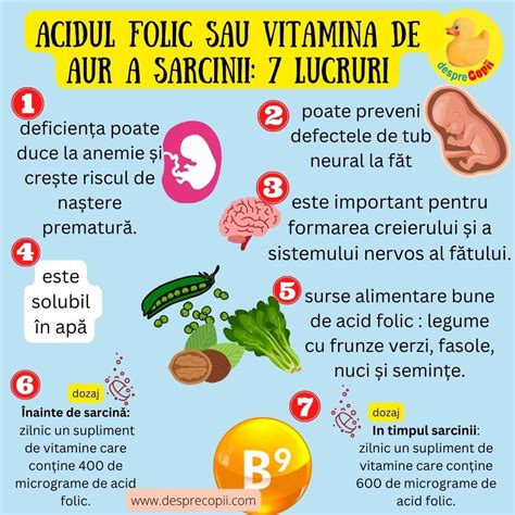 infografic cu rolul acidului folic în dezvoltarea fetală