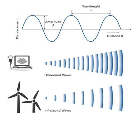 Ilustrație medicală ce prezintă principiul ecografiei, cu unde sonore emise de traductor și reflectate de organele interne.