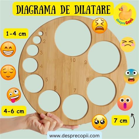 Diagrama etapelor travaliului: dilatare, expulzie făt, expulzie placentă
