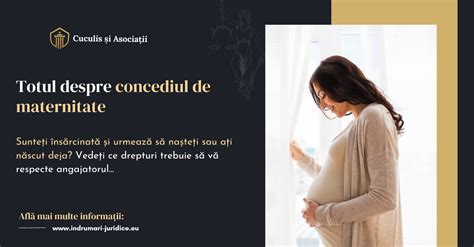 Infografic cu principalele drepturi de concediu ale cadrelor didactice din România: concediu de maternitate, concediu anual plătit, concediu de odihnă, concediu pentru cercetare.