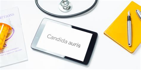 infografic cu tipuri de candida și factori de risc