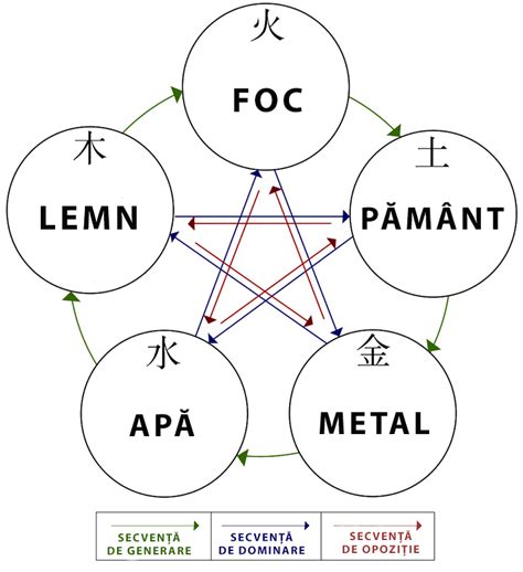Infografic explicând principiile homeopatiei și cele 5 elemente cheie