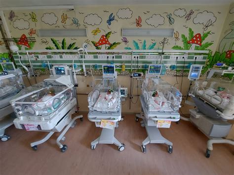 Ilustrație cu un incubator pentru nou-născuți prematuri