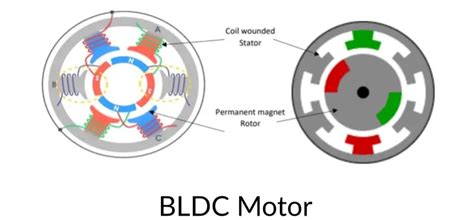 Diagrama funcțională a unui motor BLDC, ilustrând poziționarea magneților pe rotor și bobinelor pe stator.