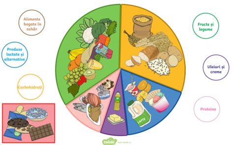 Diagrama piramidei alimentare adaptată pentru copii, cu accent pe sursele vegetale de nutrienți.