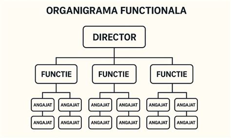 Organigrama unei secții de pediatrie cu roluri și responsabilități