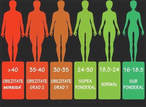 Infografic comparând IMC-ul normal, supraponderal și obez, cu menționarea impactului asupra fertilității
