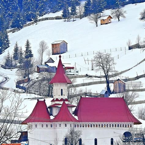 Ilustrație stilizată a unei femei însărcinate, înconjurată de simboluri ale introspecției și conexiunii interioare.