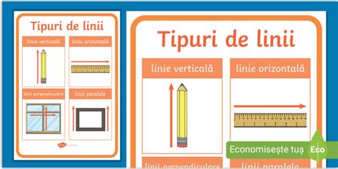 Infografic cu diferite tipuri de pătuțuri și dimensiunile lor