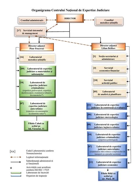 Infografic explicativ despre etapele unei expertize judiciare