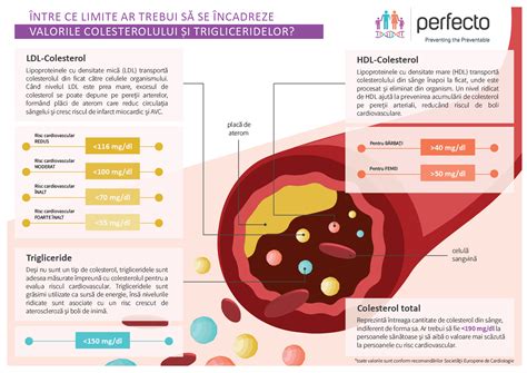 infografic cu valorile normale și patologice ale bilirubinei la nou-născuți