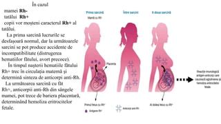 Schema sistemului Rh și a incompatibilității materno-fetale