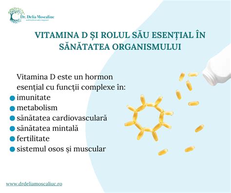 Infografic despre sinteza vitaminei D în organism și sursele alimentare