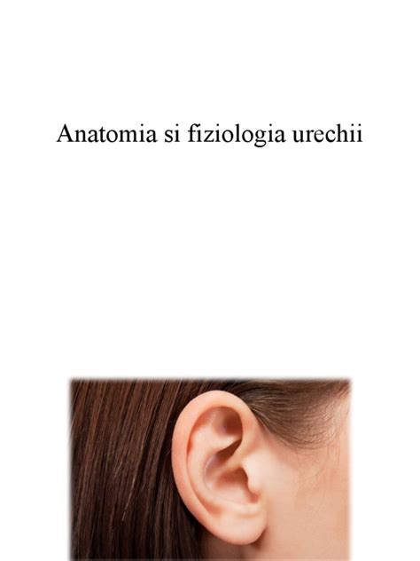 Ilustrație schematică a urechii externe, medii și interne la copil.