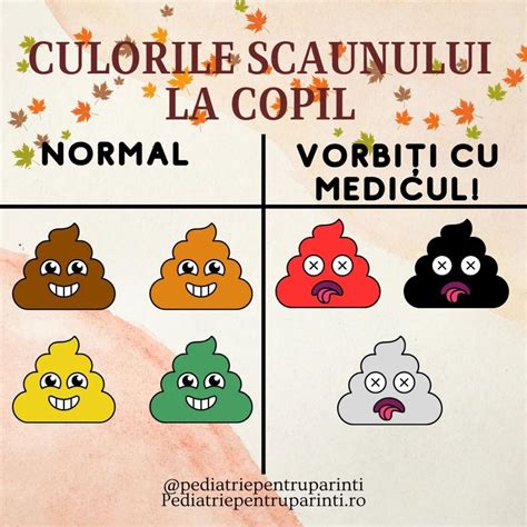 Infografic comparativ al diferitelor tipuri si culori de scaun, cu explicatii.
