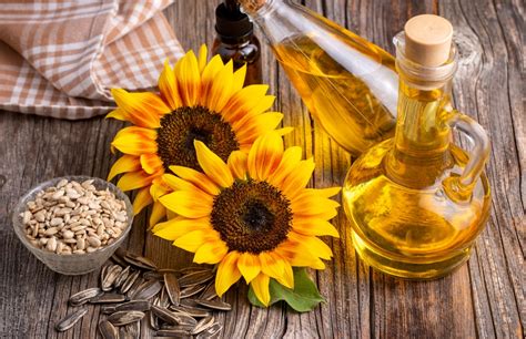 Ilustrație cu floarea soarelui și beneficiile uleiului său pentru piele