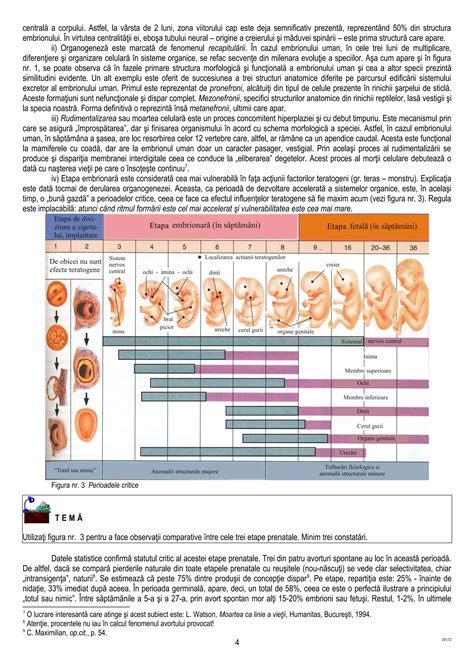 grafic reprezentând transformările corpului după sarcină