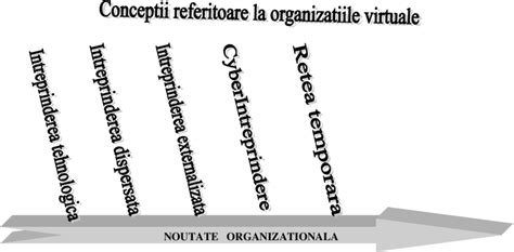 Schema comparativă a diferitelor poziții ale uterului: antevers, retrovers, anteflexat, retroflexat.