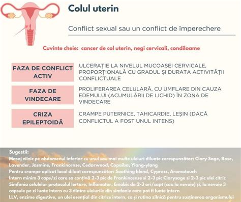 Ilustrație schematică a prolapsului uterin, arătând coborârea uterului în canalul vaginal.