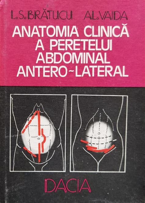 Infografic cu anatomia peretelui abdominal și a mușchilor afectați de sarcină și explicația modului în care acționează corsetul postpartum.